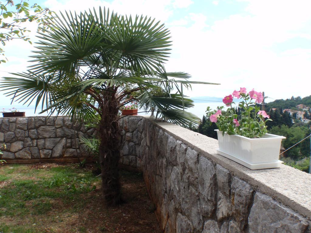 Villa Mihaela Icici Bagian luar foto